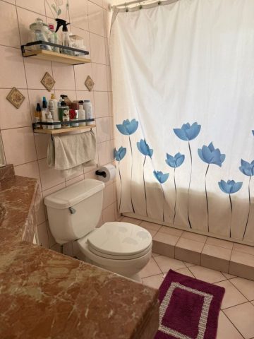 Baño_principal